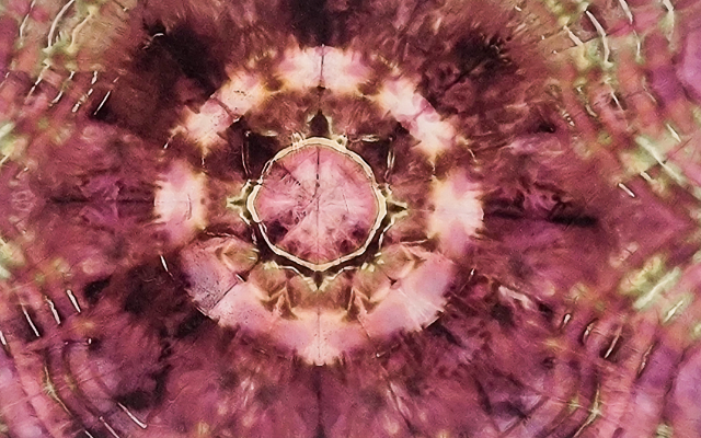 Backcountry Tie Die