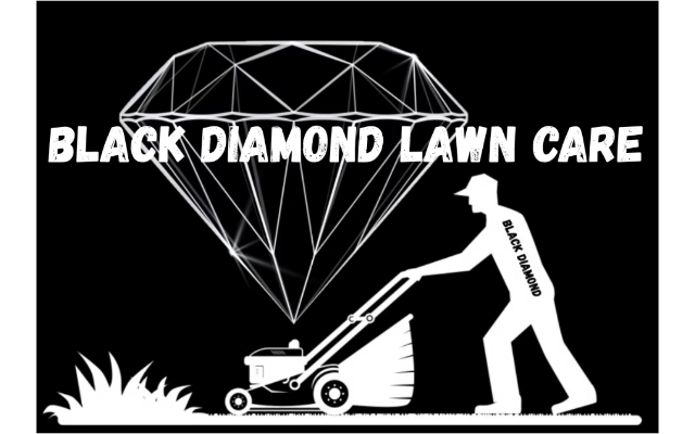 Black Diamond Cleaning & Organization Co.