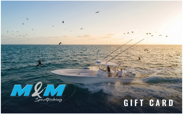 M&M CHARTERS LLC