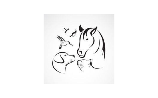 239 Pet Supplies LLC